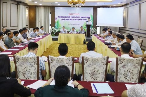 Phổ biến kiến thức phát triển cây sinh vật cảnh và cây bóng mát có giá trị kinh tế cao