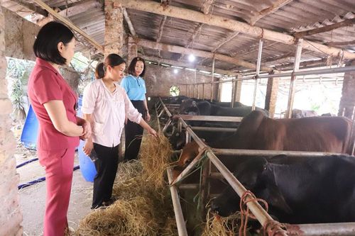 Đồng hành giúp phụ nữ phát triển kinh tế