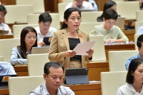 Chính sách đất đai đối với đồng bào dân tộc thiểu số phải do Quốc hội quyết định