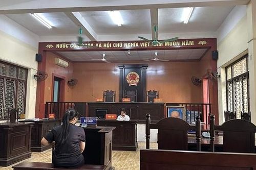 Lý do hoãn phiên xử bảo mẫu vô ý làm tử vong cháu bé 7 tháng tuổi ở Hà Nội