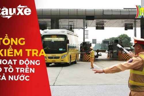 Tổng kiểm tra hoạt động ô tô kinh doanh vận tải| Bản tin Tàu và Xe| 3/11/2023