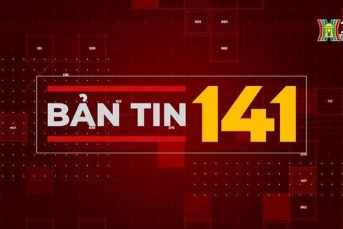 Bản tin 141 | 03/11/2023