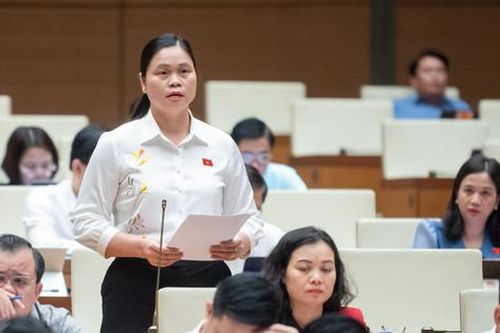 Loại trừ nhiều quyền để tránh gây thất thoát nguồn lực đất đai