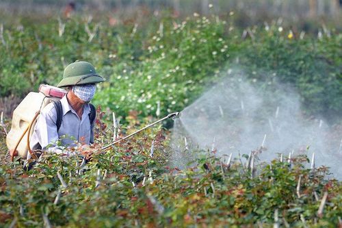 Cần chính sách phù hợp và đủ mạnh để khuyến khích doanh nghiệp