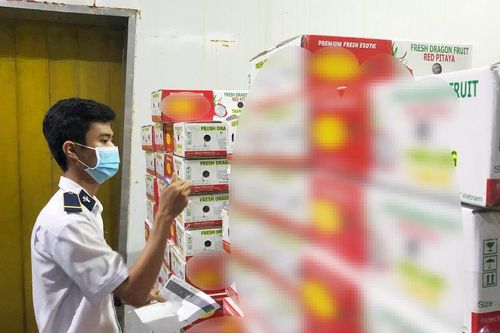 Nhiêu khê kiểm dịch thực vật
