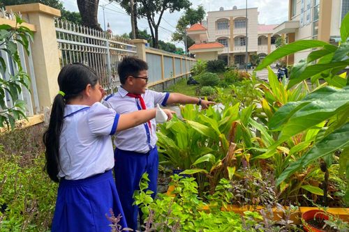 Trải nghiệm, học tập ở vườn thuốc nam