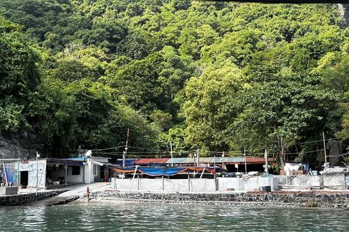 Chủ tịch TP Hải Phòng chỉ đạo xử lý nghiêm các vi phạm đất đai tại huyện đảo Cát Hải