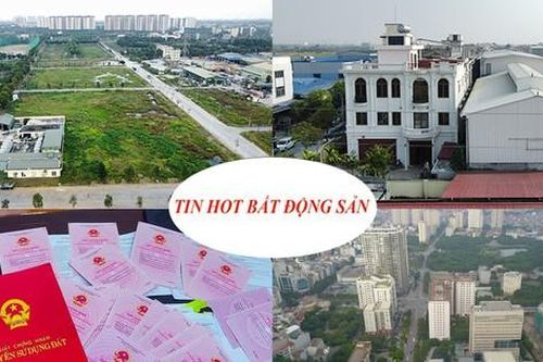Đấu giá đất khởi điểm 250 triệu/m2 gây 'choáng', đất không giấy tờ sẽ được cấp sổ đỏ thế nào?