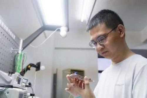 Chàng trai 21 tuổi tốt nghiệp cao đẳng từ chối lời mời làm phó giáo sư trường ĐH