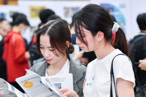 Sang 'săn' nhân sự, sếp Nhật Bản khen kỹ sư Việt Nam tài năng