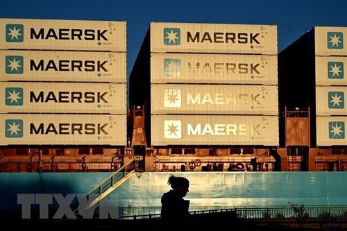 Lợi nhuận giảm mạnh, Maersk lên kế hoạch cắt giảm hàng nghìn việc làm