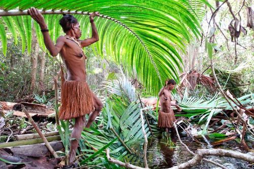 Khám phá bộ lạc sống trên cây, từng có tục săn đầu người và ăn thịt người