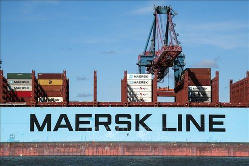 Báo động về nhu cầu vận chuyển container bằng đường biển