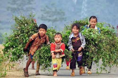 Đại biểu Quốc hội: 'Cái no lo chưa tới' với trẻ em dân tộc thiểu số