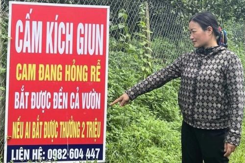 Đại biểu Quốc hội: Kích điện bắt giun cần xem là hành vi hủy hoại đất