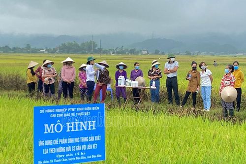Hỗ trợ liên kết sản xuất nông nghiệp