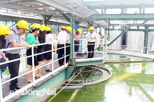 Buông lỏng bảo vệ môi trường, doanh nghiệp sẽ mất rất nhiều