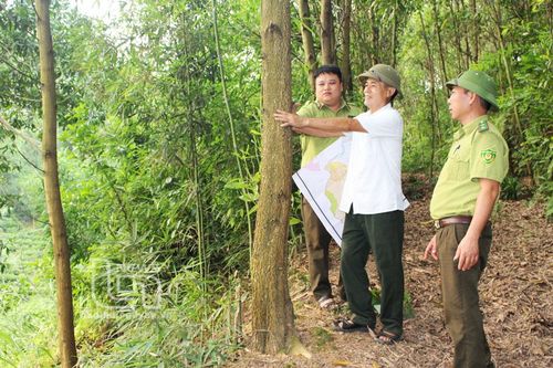 Những người 'xây nhịp cầu' nối ý Đảng - lòng dân