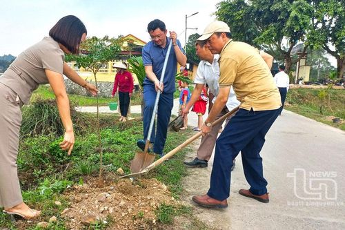 Tặng 1.000 cây xanh cho huyện Phú Lương