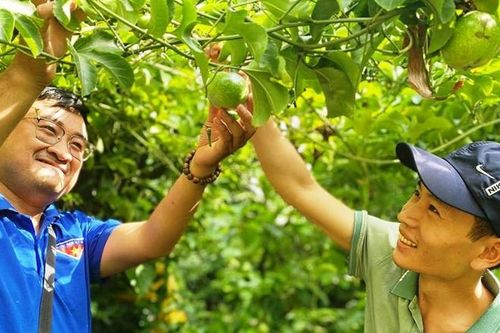 Đam mê nông nghiệp sạch