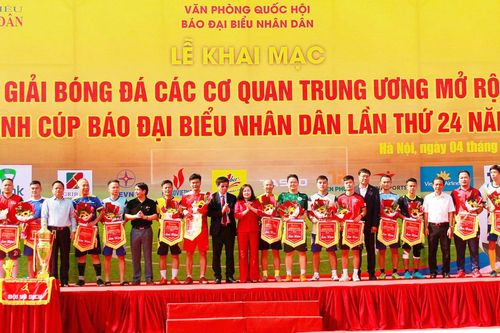 Giải đấu ý nghĩa, chuyên nghiệp