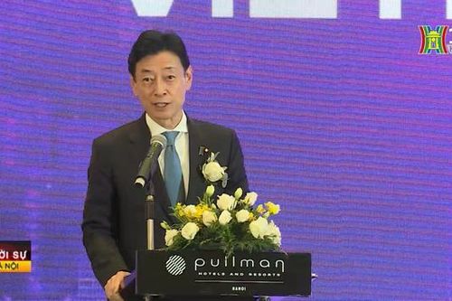 Đổi mới sáng tạo Việt Nam, Nhật Bản