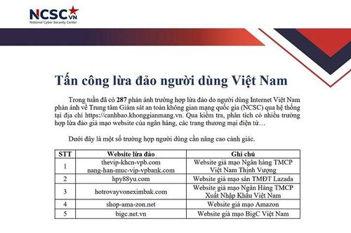 Nhiều website ngân hàng, ví điện tử bị giả mạo
