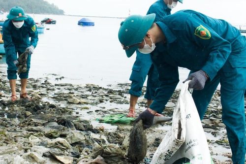 Quảng Ngãi: Ra quân thu gom 'núi' rác ở bãi biển