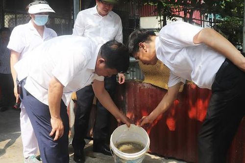 Hà Nội giám sát chặt ổ dịch sốt xuất huyết
