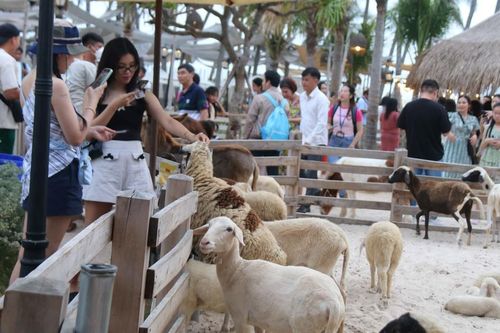 Hấp dẫn du lịch trải nghiệm trên miền nắng - gió