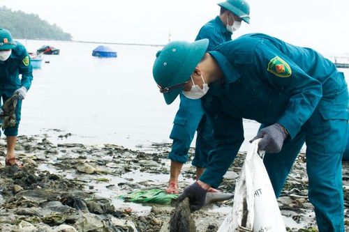 Hàng trăm người tham gia thu gom gần 100 tấn rác thải sau mưa lũ ven biển Quảng Ngãi