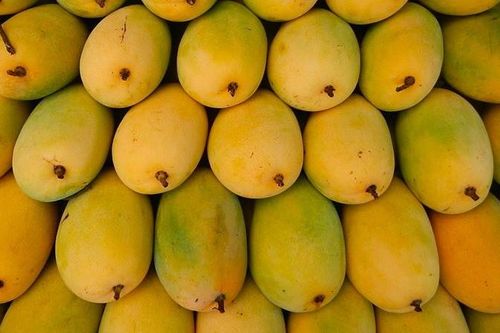 Loại quả Việt được Đại sứ Mỹ khen 'ngon nhất thế giới' giá bao nhiêu?