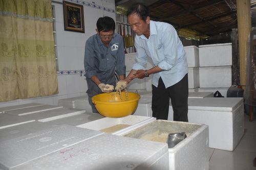 Phân bón vi sinh 'giải độc' đất trồng xoài