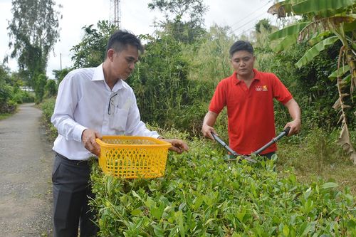 Người đàn ông miền Tây hơn 10 năm vận động trồng cây thuốc chữa bệnh miễn phí