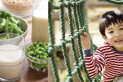 Đậu nành - lựa chọn hàng đầu trong xu hướng dinh dưỡng thực vật