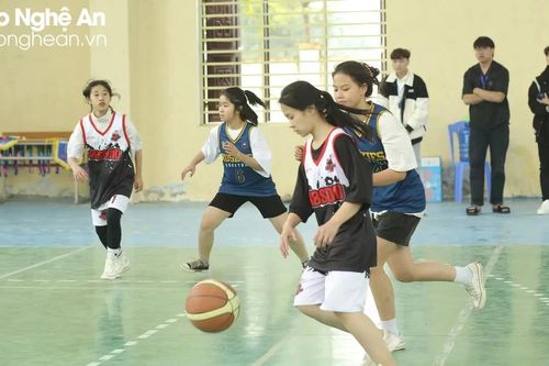 Phát triển môn bóng rổ trong trường học ở Nghệ An