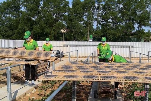 116 mô hình dân vận khéo ở Can Lộc hoạt động hiệu quả, bền vững