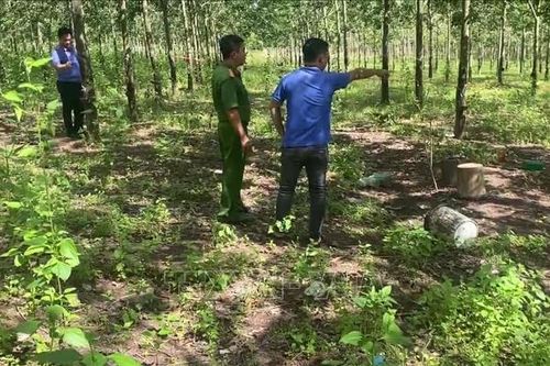 Mâu thuẫn trong cạo mủ cao su, 2 anh em ruột đánh nhau thương vong