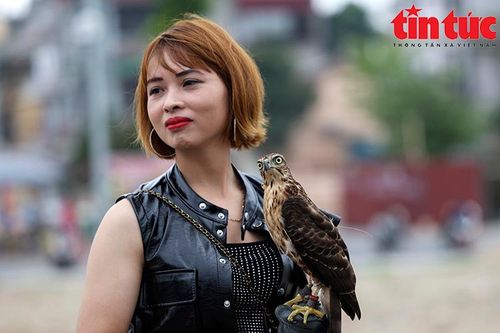 Mãn nhãn trình diễn bay lượn tại hội thi chim săn mồi