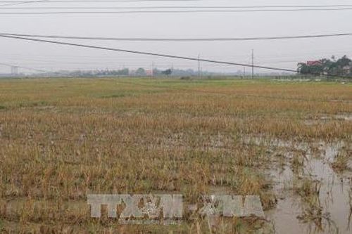 Cán bộ hưu có được nhận thừa kế đất nông nghiệp?
