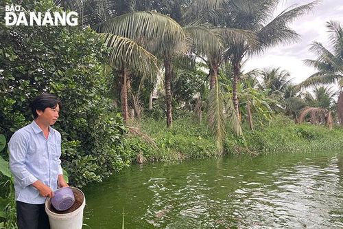 Đổi đời nhờ cá