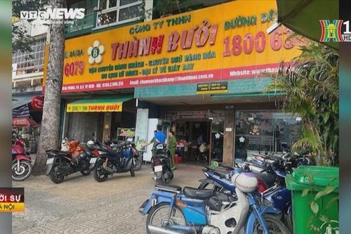 Làm rõ những sai phạm của nhà xe Thành Bưởi