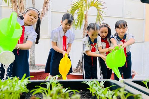 Cô trò tiểu học ở TP.HCM trồng rau gây quỹ học bổng
