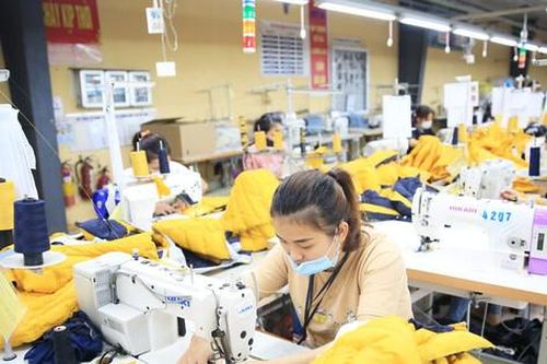 Khai thác EVFTA để gia tăng xuất khẩu bền vững