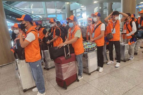 Thị trường lao động nào lương cao, thu hút nhiều người Việt Nam?