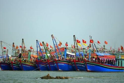 Tập trung thực hiện các giải pháp cấp bách chống khai thác hải sản bất hợp pháp