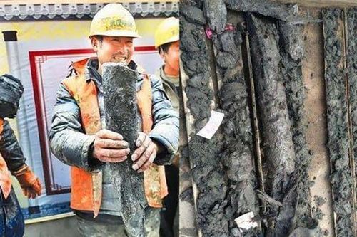 Đào được khúc gỗ lạ, chuyên gia hô lớn: 'Chuẩn Đông phương thần mộc'!
