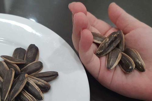 Phòng tránh tai nạn hóc dị vật đường thở cho trẻ