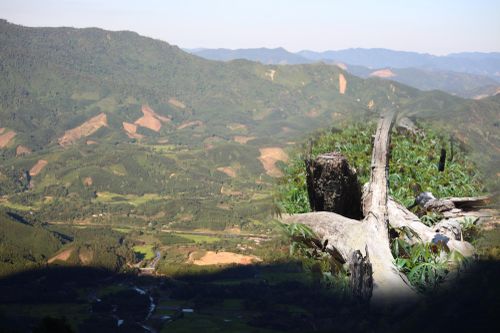 Bộ TN-MT khẳng định đã thể chế hóa đúng, đủ về chính sách đất đai