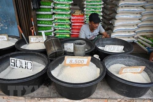 Indonesia dự định nhập khẩu 2 triệu tấn gạo trong năm 2024